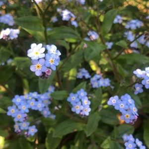 Meet your Posher, Catherine